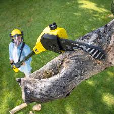 Best Lawn Watering Services  in Deforest, WI