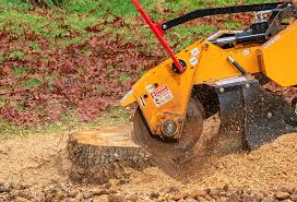 Best Lawn Drainage Solutions  in Deforest, WI