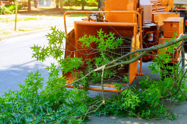 Lawn Grading and Leveling in Deforest, WI