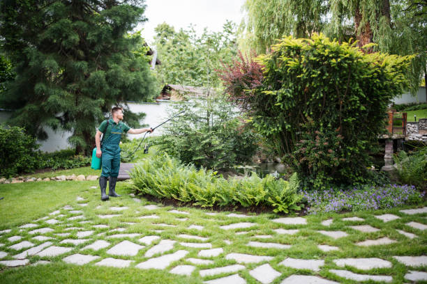 Best Lawn Renovation and Restoration  in Deforest, WI